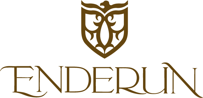Enderun Colleges Logo